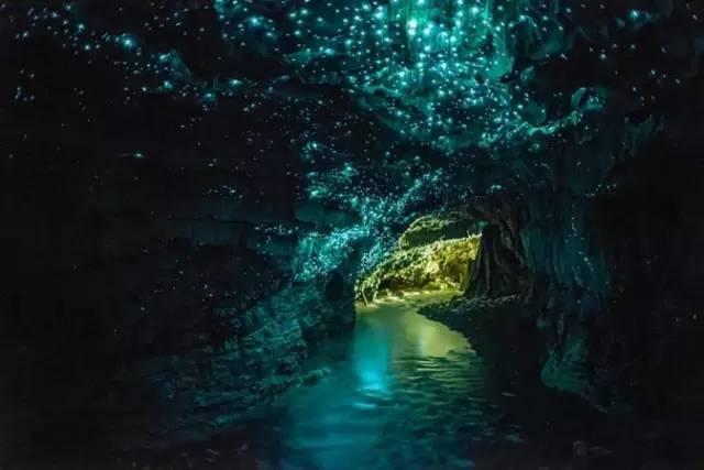 虫虫助手下载